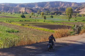 Lavouras no caminho, como se fossem um tapete verde