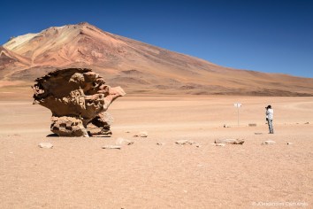 O deserto é surreal.