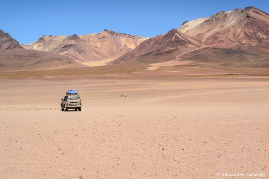 Somos tão pequenos para a Natureza.